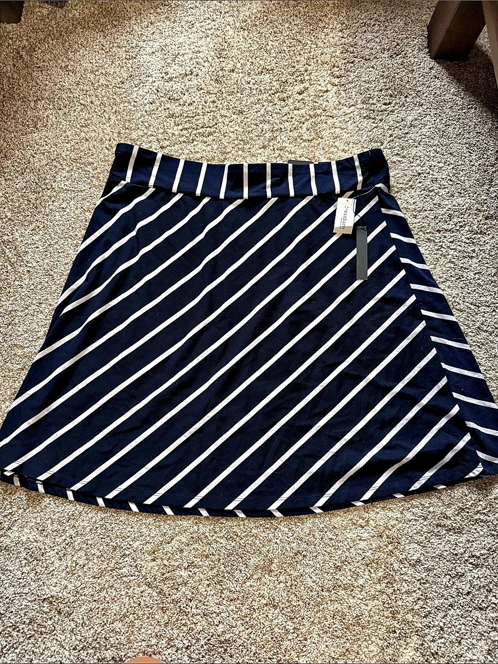 Roz & Ali Striped A-Line Skirt in Blue & White Size 2X NWT